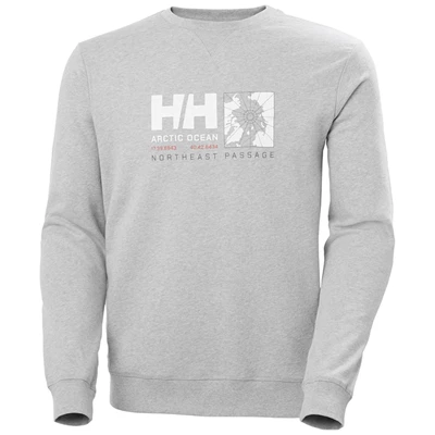 Chandails Helly Hansen Arctic Ocean Sweat Homme Grise | 4902-JVPTW