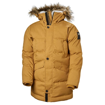 Vestes Parkas Helly Hansen Barents Homme Marron | 0815-NHIQJ