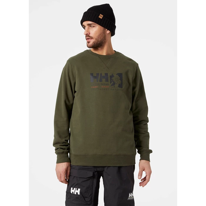 Chandails Helly Hansen Arctic Ocean Sweat Homme Grise | 4172-JBDIT