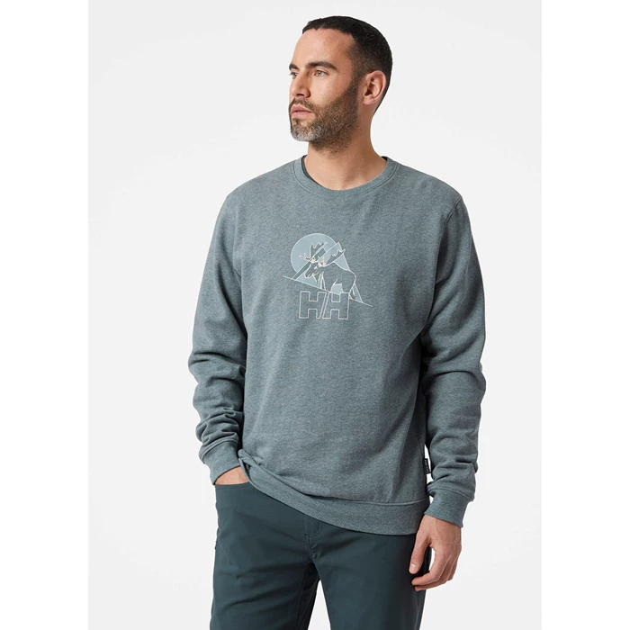 Chandails Helly Hansen F2f Organic Coton Homme Grise | 5963-BCXKY