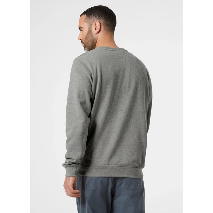 Chandails Helly Hansen F2f Organic Coton Homme Grise | 7952-ABPHN