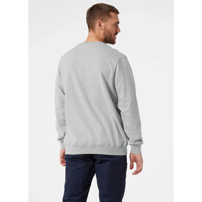 Sweats Helly Hansen Arctic Ocean Sweat Homme Grise | 9103-XTGWC