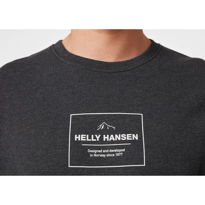 Sweats Helly Hansen F2f Organic Coton Homme Grise | 1675-EGNTJ