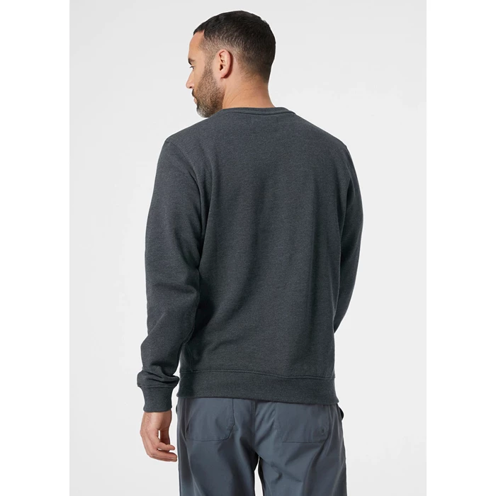 Sweats Helly Hansen F2f Organic Coton Homme Grise | 4036-JMNZK