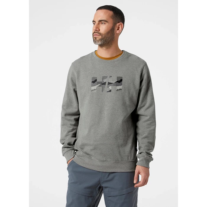 Sweats Helly Hansen F2f Organic Coton Homme Grise | 8502-KAUYE