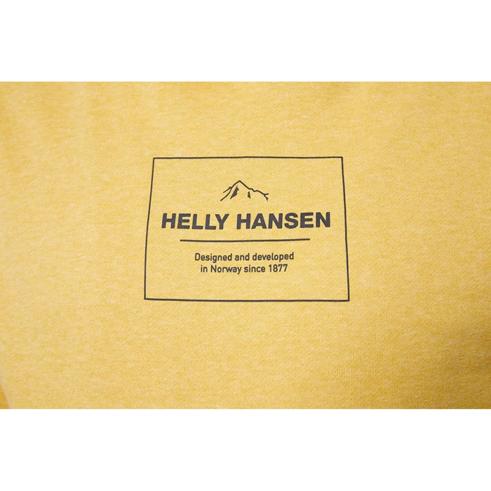 Sweats Helly Hansen F2f Organic Cottonhooded Homme Marron | 4783-XPWJY