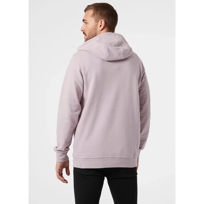 Sweats Helly Hansen Hh Boxhooded Homme Violette Grise | 5982-ZMLWA