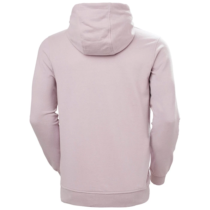 Sweats Helly Hansen Hh Boxhooded Homme Violette Grise | 5982-ZMLWA