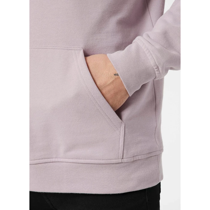 Sweats Helly Hansen Hh Boxhooded Homme Violette Grise | 5982-ZMLWA