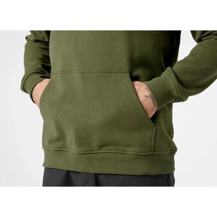 Sweats Helly Hansen Hh Logo Encapuchonné Homme Vert | 1708-SYOUB