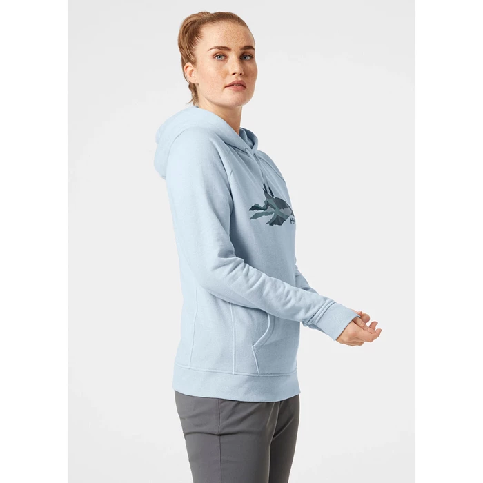 Sweats Helly Hansen W F2f Organic Cottonhooded Femme Grise Bleu | 0187-APIHT