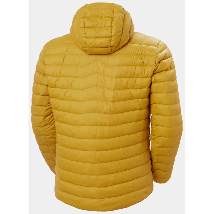 Vestes Décontractées Helly Hansen Verglas Encapuchonné Homme Marron | 5396-MXBCZ